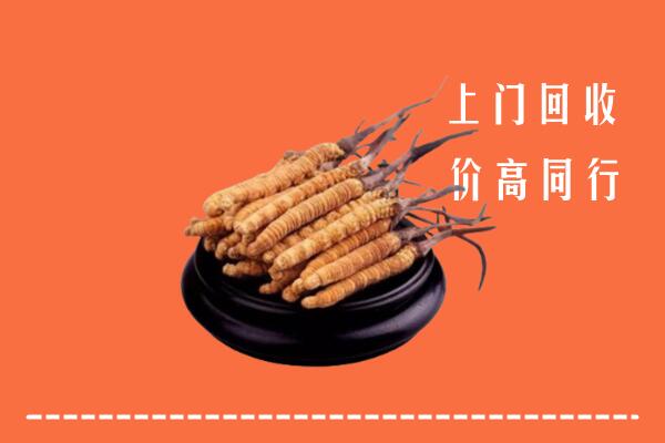 高价求购：延边州敦化回收散虫草