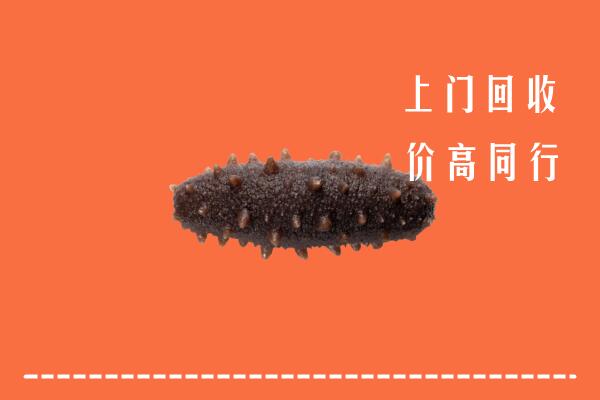 高价求购：延边州敦化回收海参
