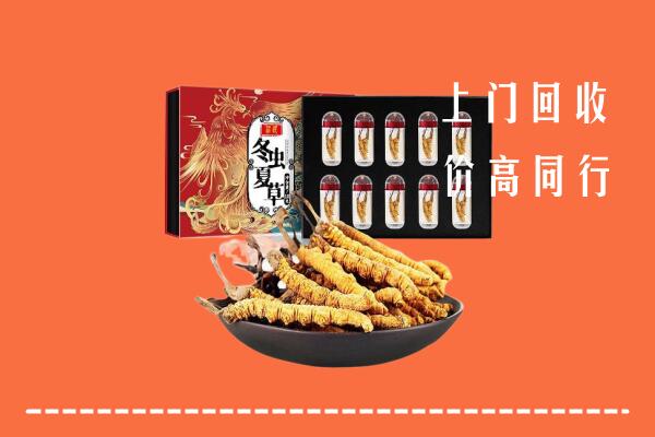 延边州敦化回收虫草